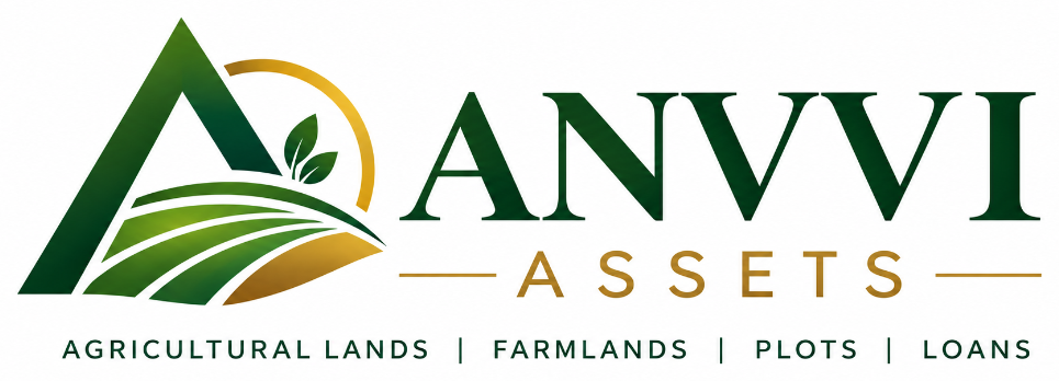 ANVVI Assets